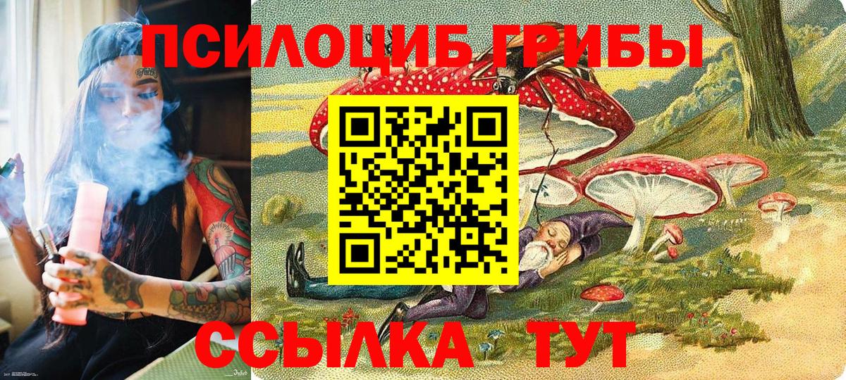 наркошоп  Вход с VPN  Рубцовск  Псилоцибиновые грибы Magic Shrooms  Псилоцибиновые грибы Magic Shrooms 